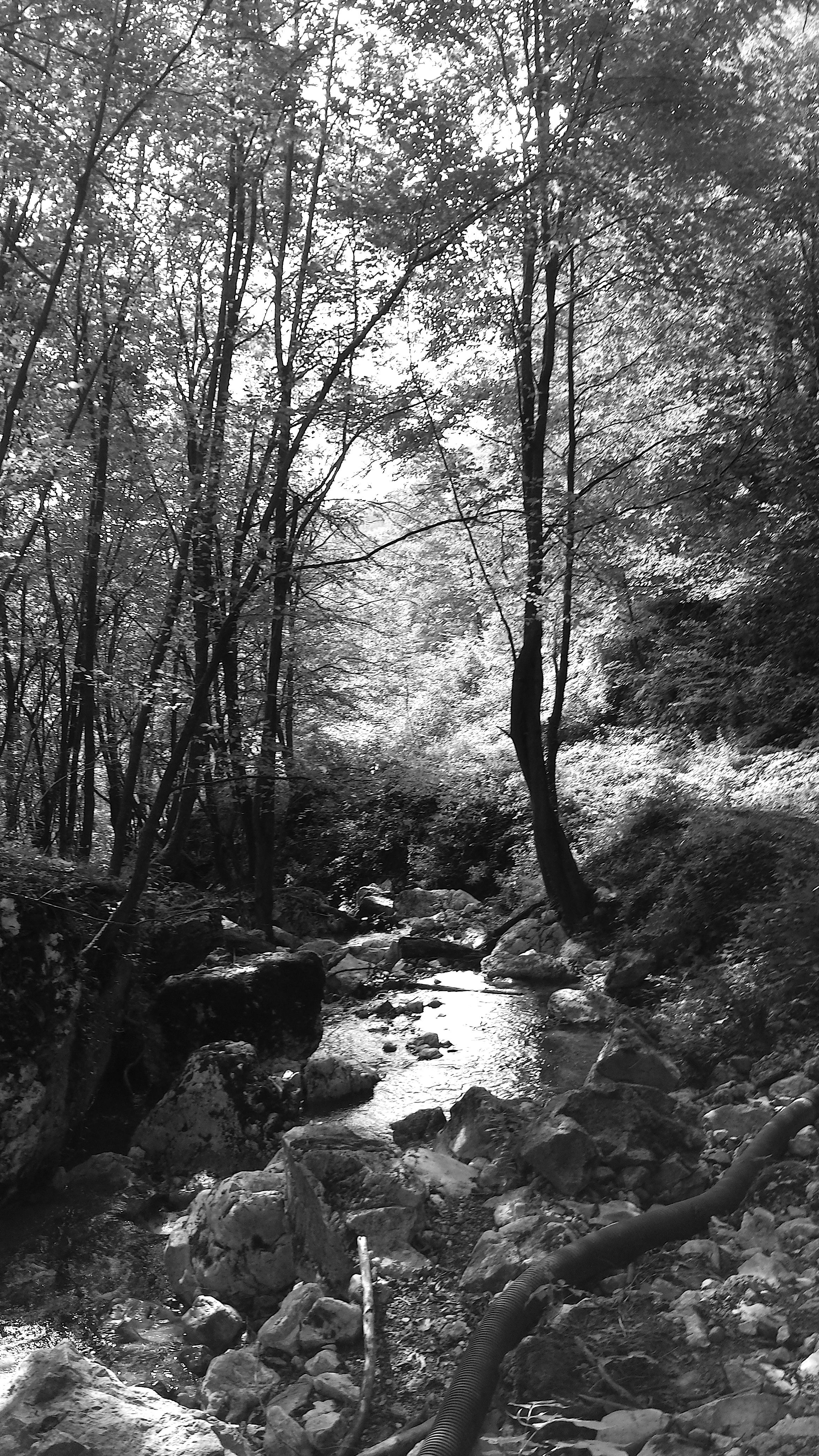 20140817_153906.jpg